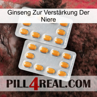 Ginseng Zur Verstärkung Der Niere cialis4